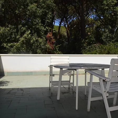 Apartment Il Pino Monolocale In Con Piscina